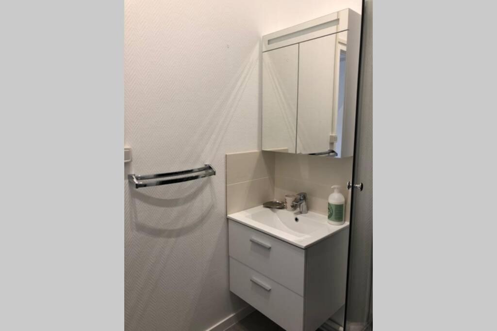 فيشي Villa Camelia Quartier Thermal Grand Studio Au Calme المظهر الخارجي الصورة